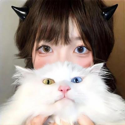 换子成龙